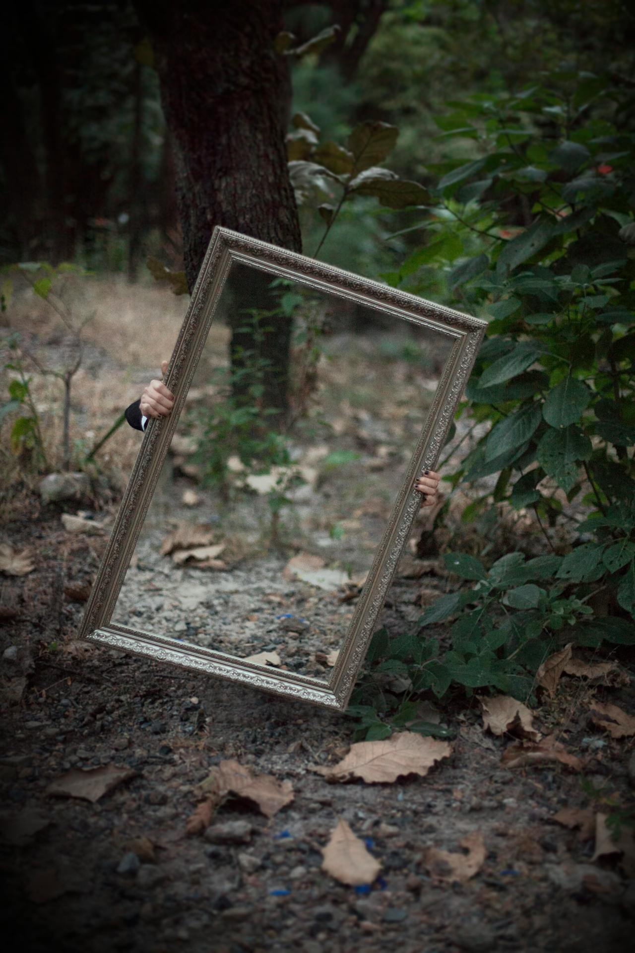 Illusion of the seen